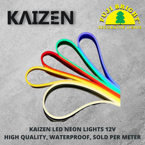 12V KAIZEN™ 6mm LED Neon Lights