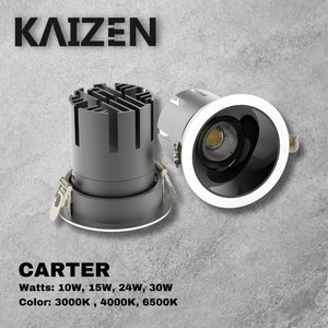 Kaizen CARTER LED Down Light