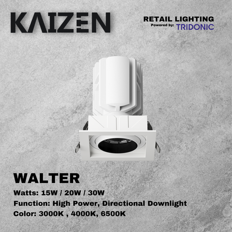 Kaizen WALTER LED Commercial Down Light