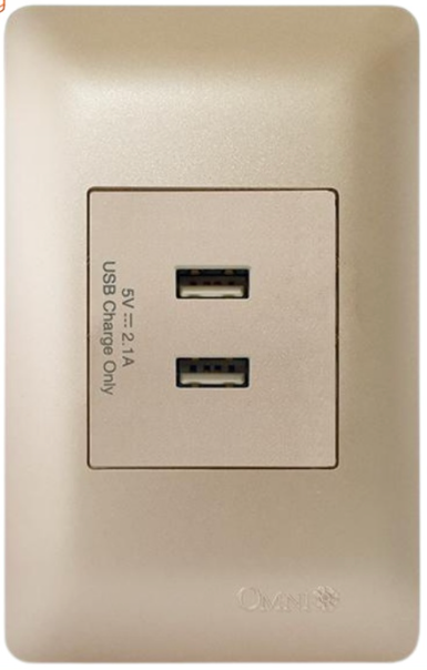 Omni Designer Series 2 Gang USB Outlet (Ivory, Titanium, Brass, Graphite)