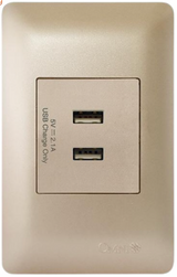 Omni Designer Series 2 Gang USB Outlet (Ivory, Titanium, Brass, Graphite)