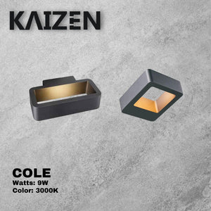 Kaizen COLE Wall Lamp Outdoor 6W